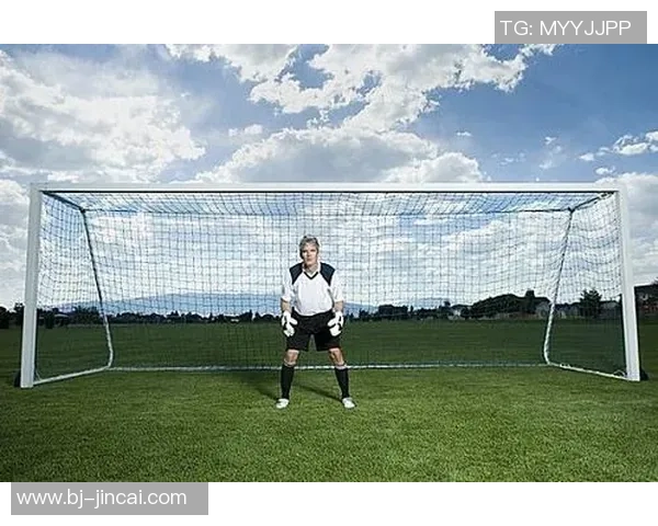 足球明星精彩瞬间全景展示尽在足球明星图片图库